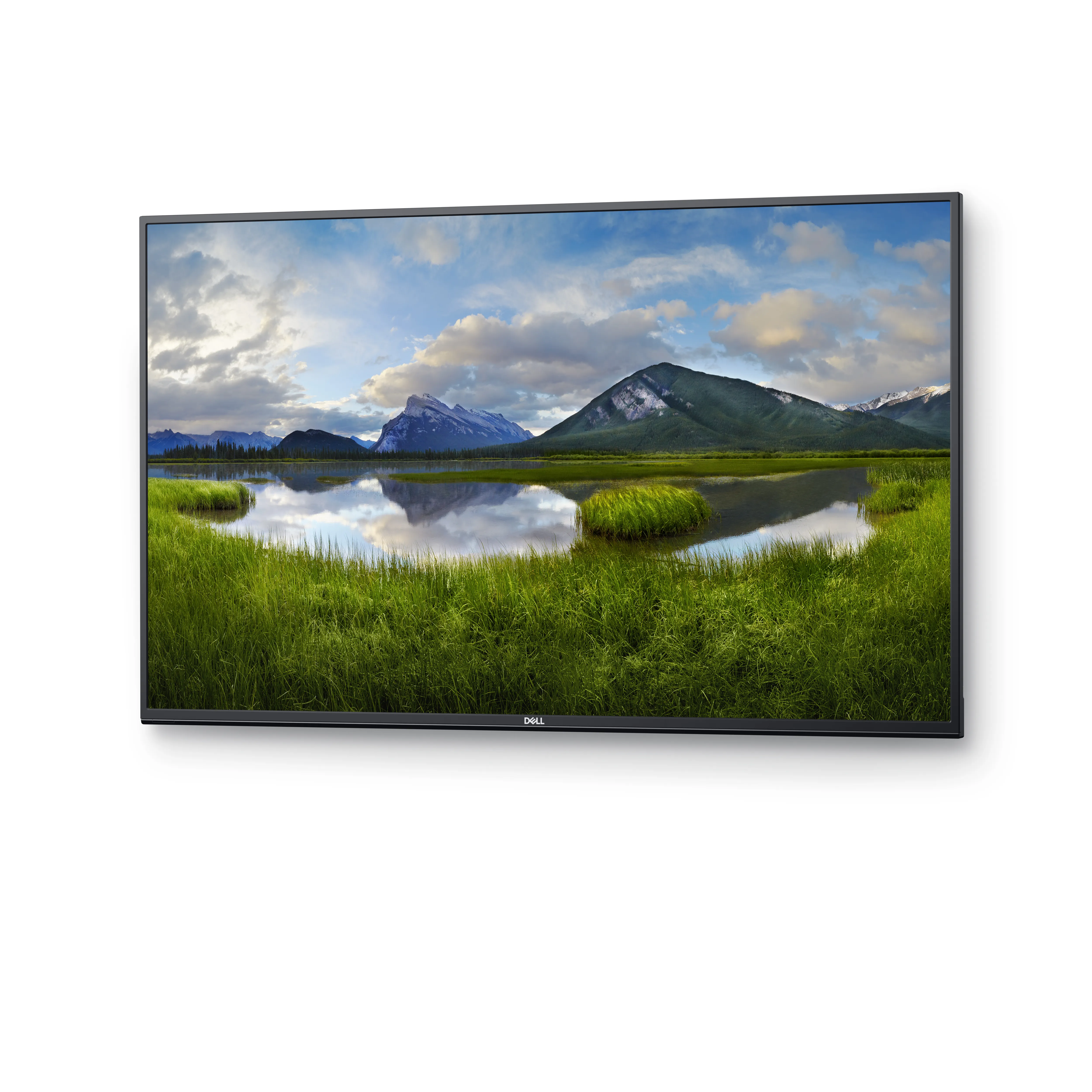 Dell C5519Q - 55" Diagonaaliluokka (54.6" katseltava) LED-taustavalaistu LCD-näyttö - kokoukset - 4K UHD (2160p) 3840 x 2160