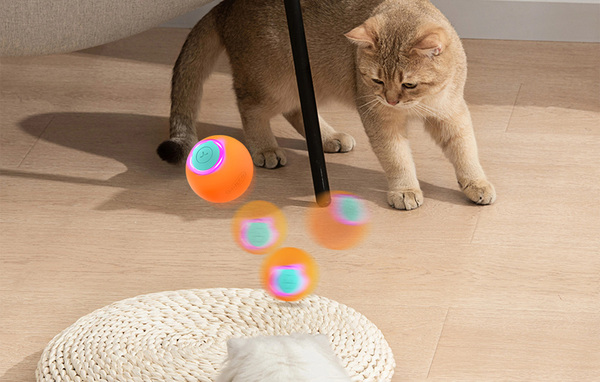 ROJECO RWJ-12 Orange Interactive Smart Cat Ball