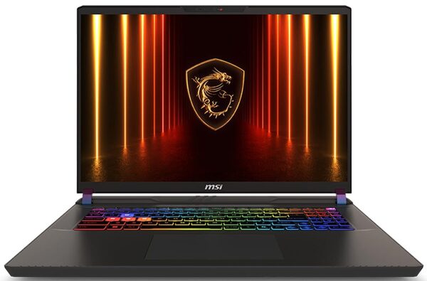 MSI Vector 17 HX AI 17&quot; Ultra 9 275HX, 64 GB, 2 TB, Win 11 Home - spelb&auml;rbar dator, gr&aring;