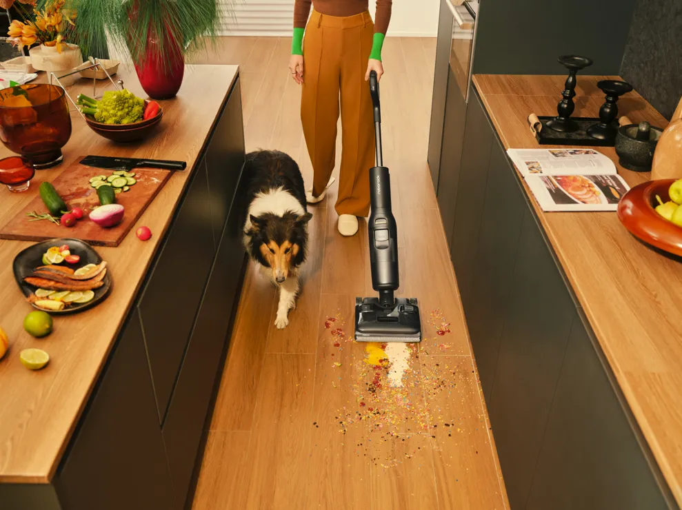 Roborock F25 -märkä-kuivaimuri, musta