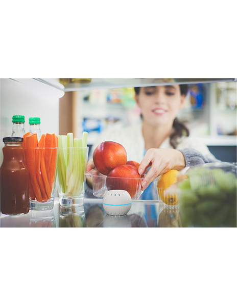 Shelly H&amp;T -l&auml;mp&ouml;tila ja kosteustunnistin, valkoinen