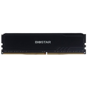 BIOSTAR Storming Series 16GB (1 x 16GB) DDR4 3200 MHz, CL16 Memory