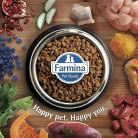 Farmina N&D Pumpkin Lamb & Blueberry Adult Mini, Dry food for dogs, Grain Free, 800g