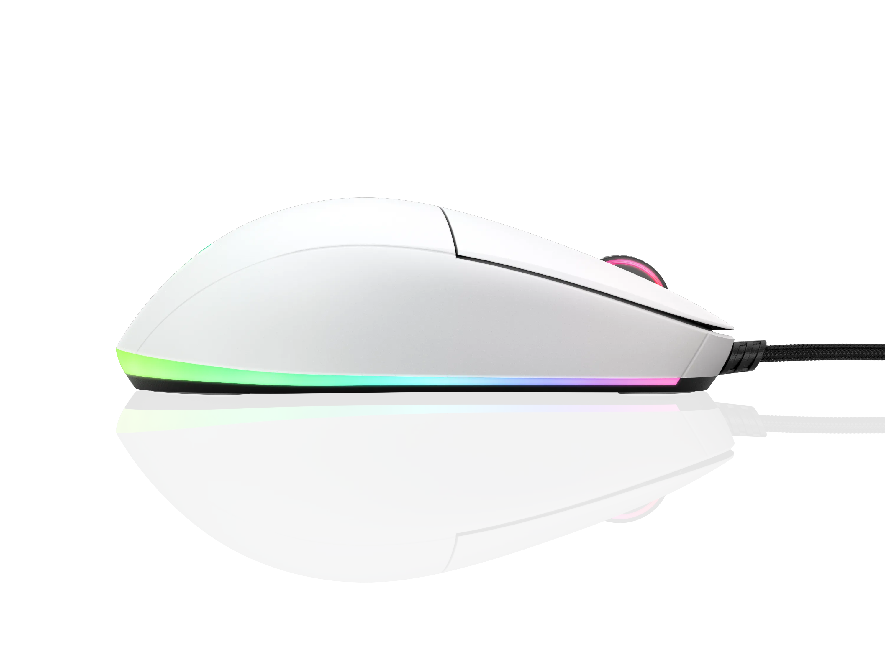 Endgame Gear XM1 RGB - gaming mouse, white