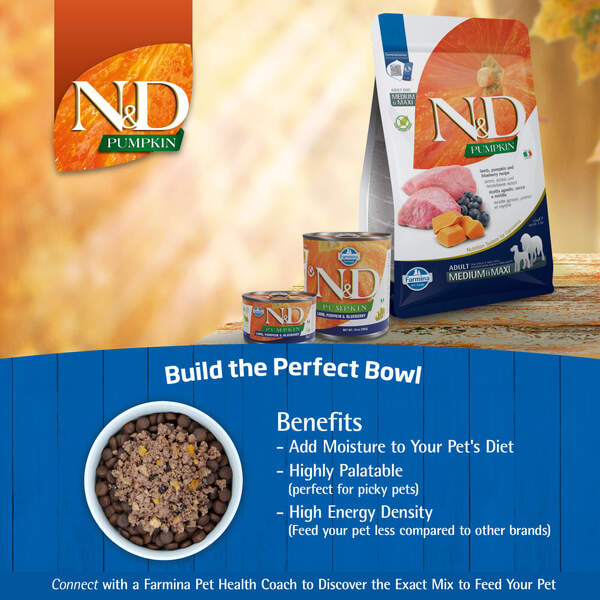 Farmina N&D Pumpkin Lamb & Blueberry Adult Mini, Dry food for dogs, Grain Free, 800g