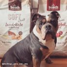 Bosch SOFT Maxi Water Buffalo & Sweet Potato, Torrfoder f&ouml;r hund, Adult, 12,5 kg