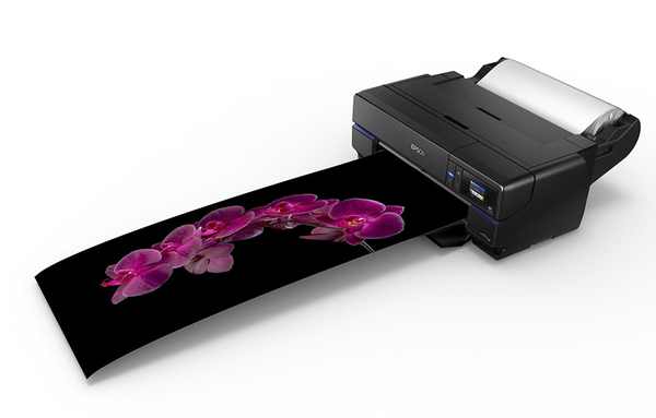 Epson SureColor SC-P800 Wi-Fi, A2 - large format printer