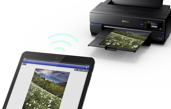 Epson SureColor SC-P800 Wi-Fi, A2 - large format printer