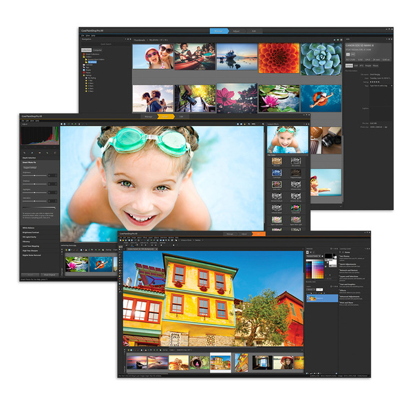 COREL PaintShop Pro X9 Mini-Box (ML)