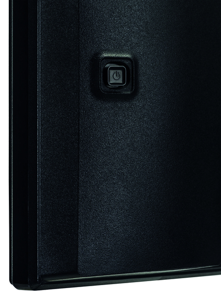 Dis 32 IIyama PL G3266HS-B1 Curved