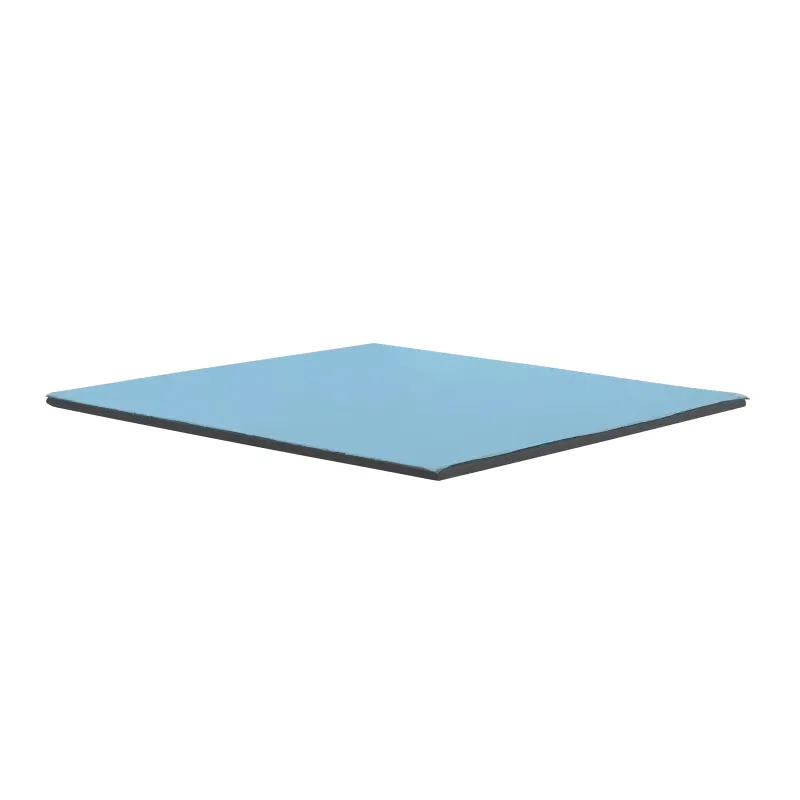 Thermal Grizzly Minus Pad Pro TG-MP-P-100-100-20 100 x 100 x 2 mm Thermal Pad, Gray