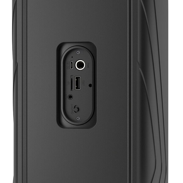 LEDWOOD Loudspeaker Drop100 100W Wireless Black