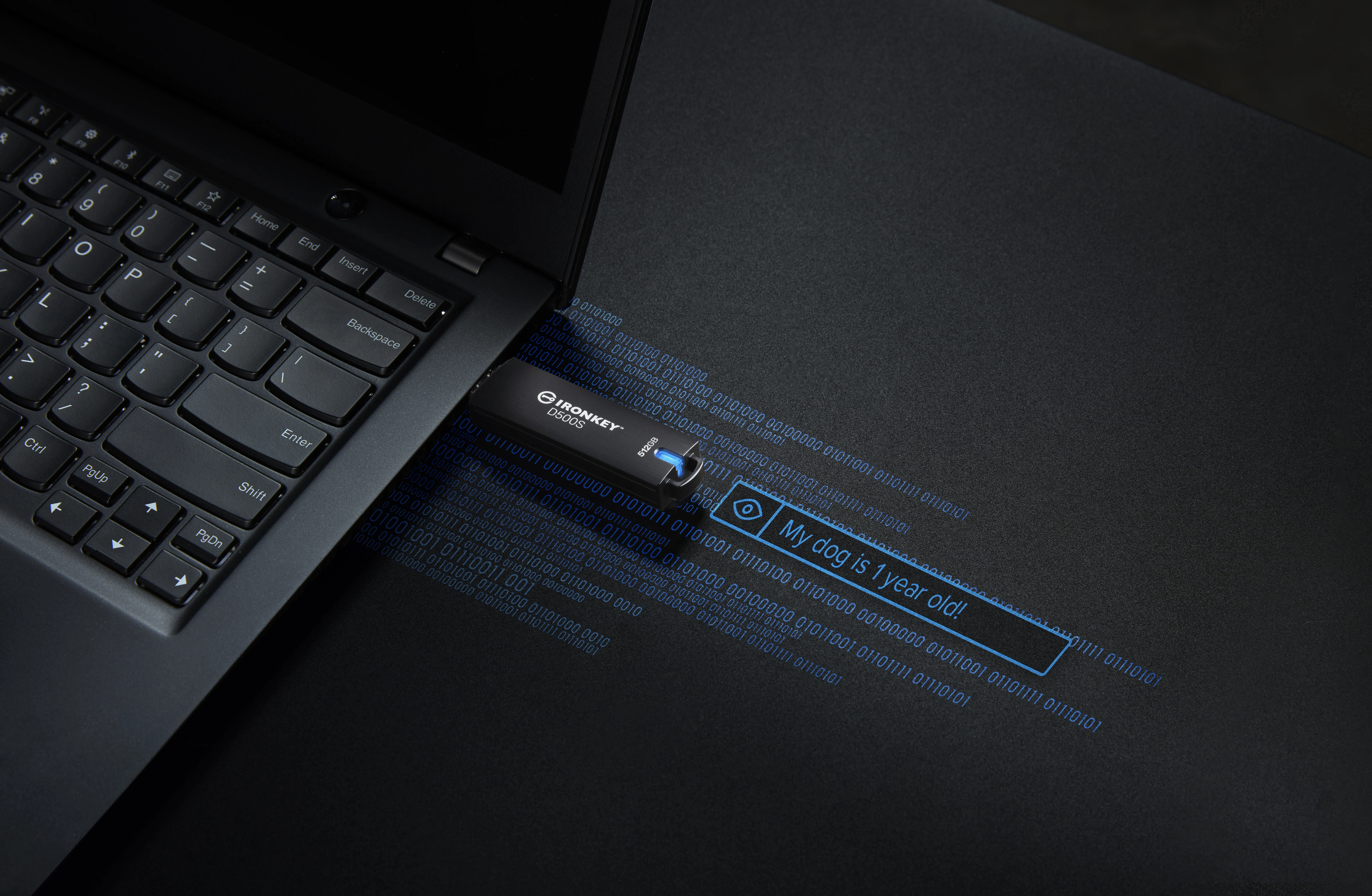 Kingston IronKey D500S USB 3.2 Gen 1 512 GB USB-minne, svart