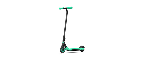 Ninebot by Segway Kickscooter Zing A6