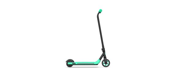 Ninebot by Segway Kickscooter Zing A6