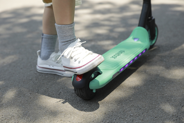 Ninebot by Segway Kickscooter Zing A6