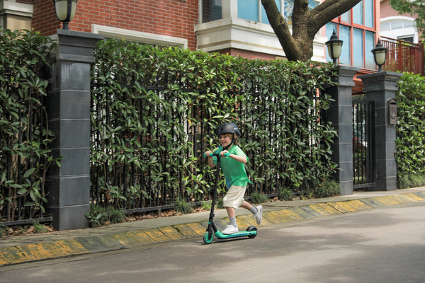 Ninebot by Segway Kickscooter Zing A6