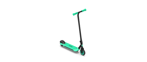 Ninebot by Segway Kickscooter Zing A6