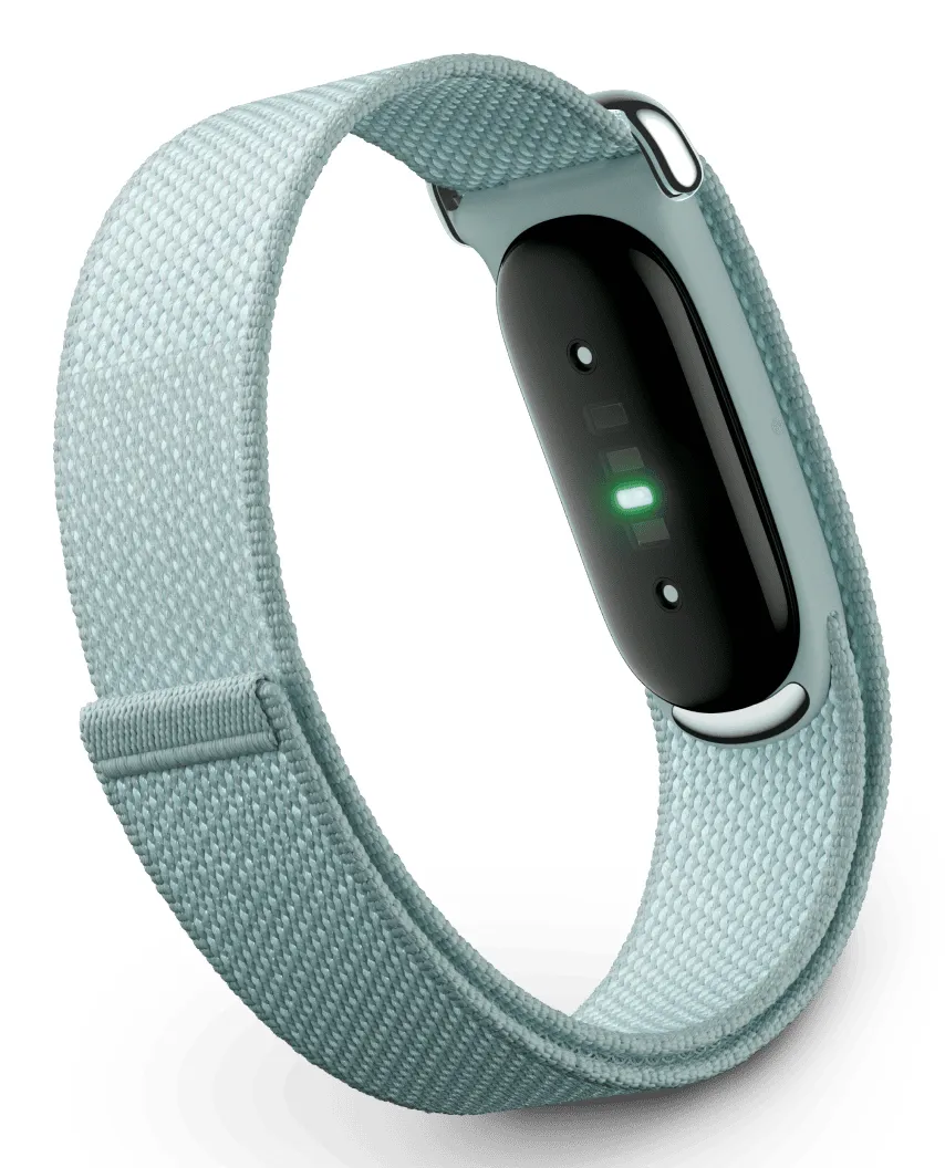 Google Fitbit Air aktivitetsarmband - Dimma