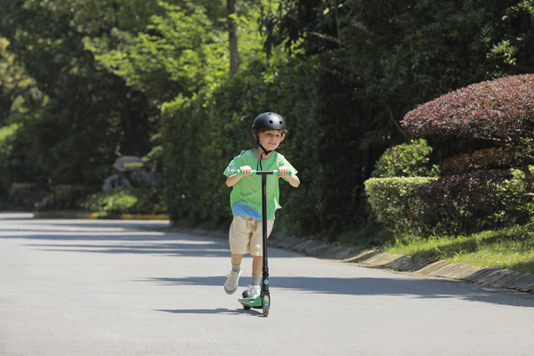 Ninebot by Segway Kickscooter Zing A6
