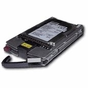 300GB,U320,10.000Rpm Hotswap