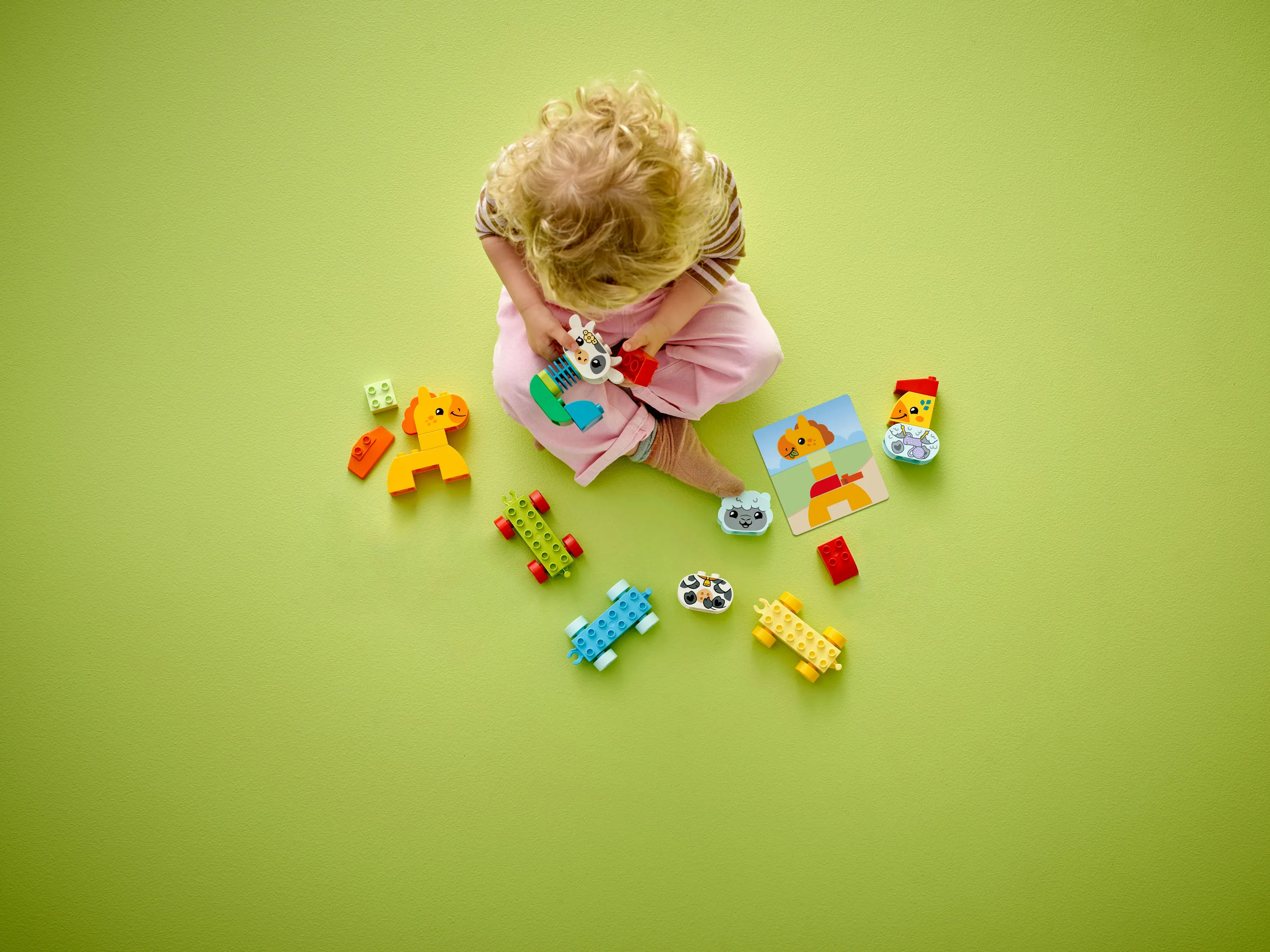 LEGO DUPLO My First Animal Train 10412