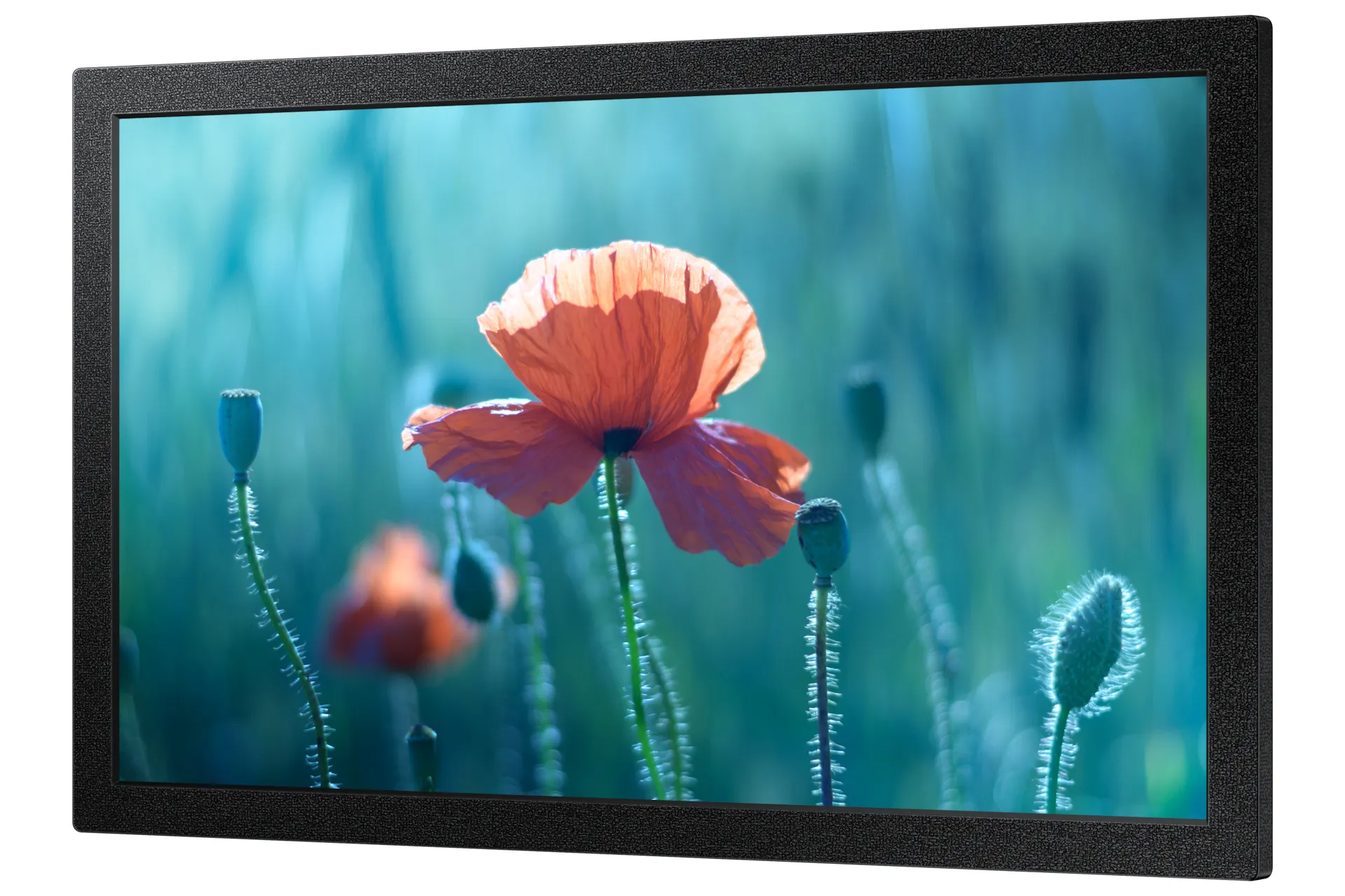 Samsung QB13C. 13" FHD, HDMI, RS232 - info monitor