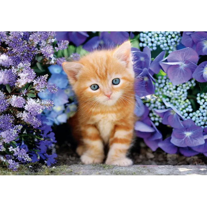 Clementoni High Quality Collection Ginger Cat - puzzle, 500 pcs