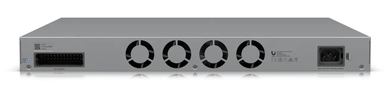 A 48-port, Layer 3