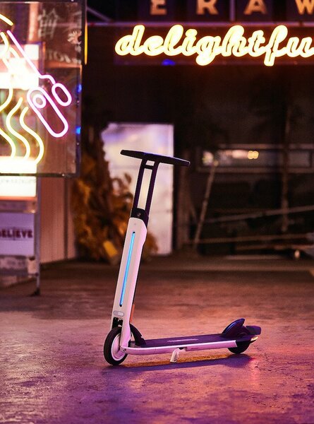 Ninebot by Segway Kickscooter T15E - Electric scooter, Silver