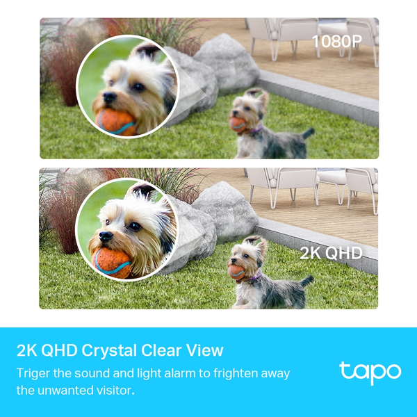 TP-link Tapo C420S1 WiFi - outdoor surveillance camera