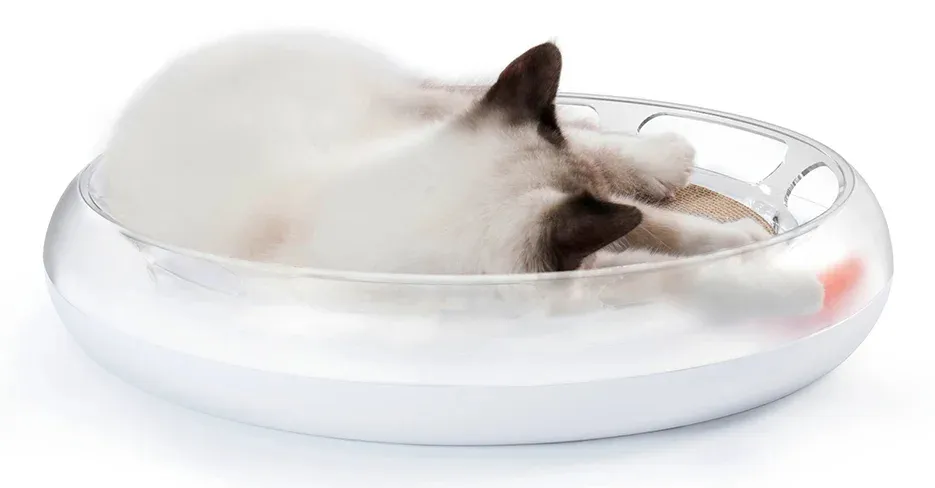 PETKIT P610 4-in-1 kissan raapimalevy palloilla