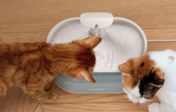 PETLIBRO Capsule Automatic Smart Water Fountain, 2.1 L, for Cats and Small Dogs