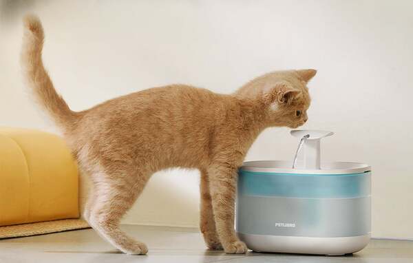 PETLIBRO Capsule Automatic Smart Water Fountain, 2.1 L, for Cats and Small Dogs
