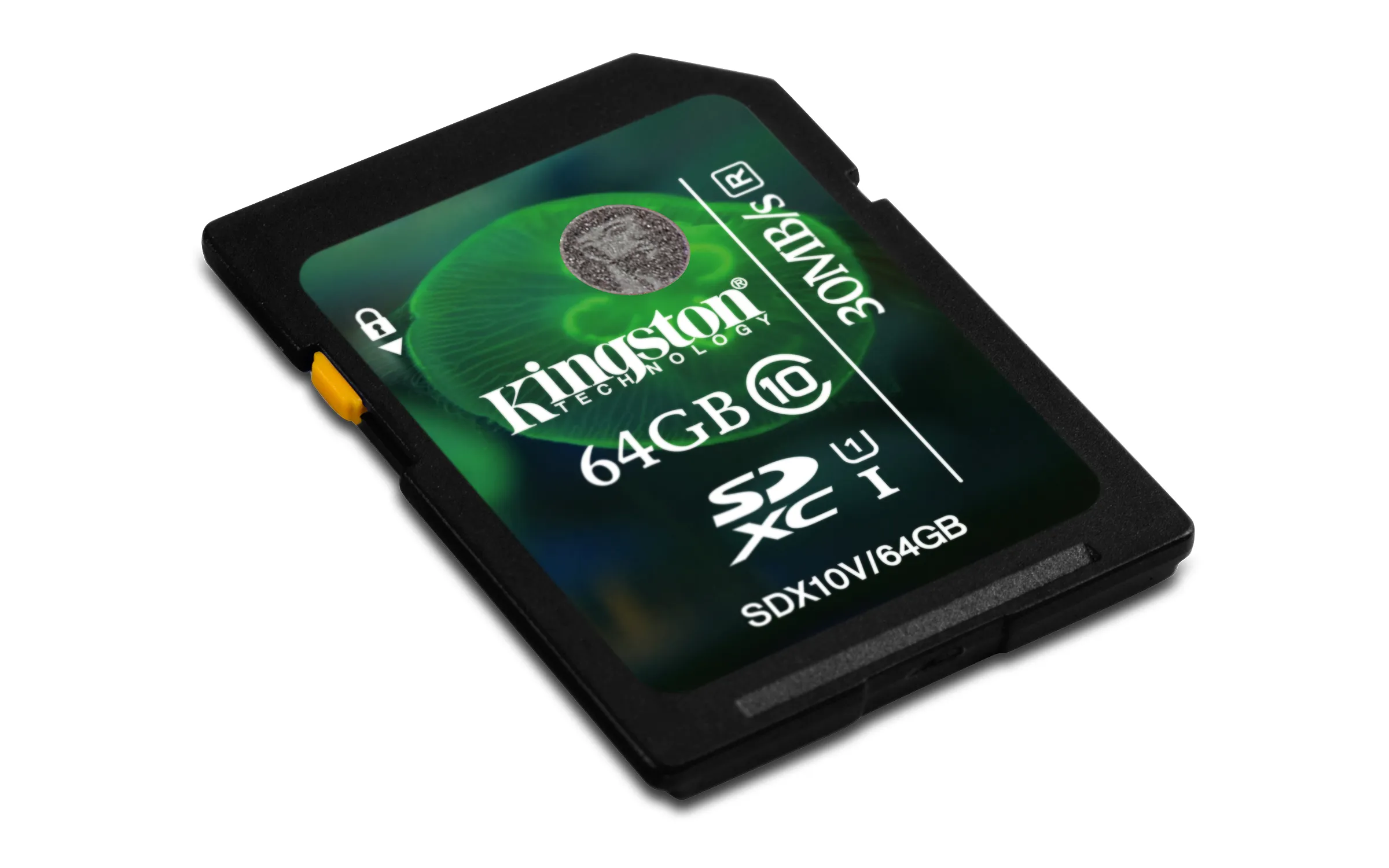 64GB SDXC Class 10 Flash Card