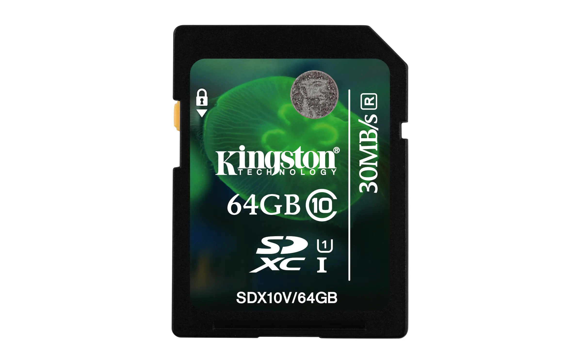 64GB SDXC Class 10 Flash Card