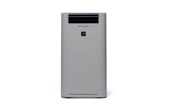 Sharp HG40E -ilmanpuhdistin-kostutin, harmaa