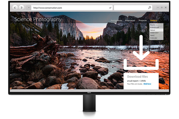 Dell 27&quot; UltraSharp U2717DA QHD, IPS - monitor