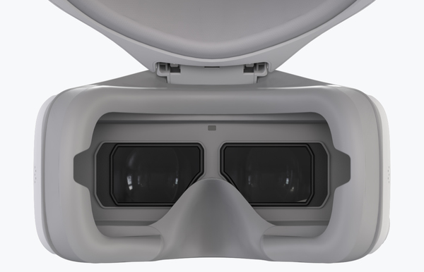 DJI Goggles