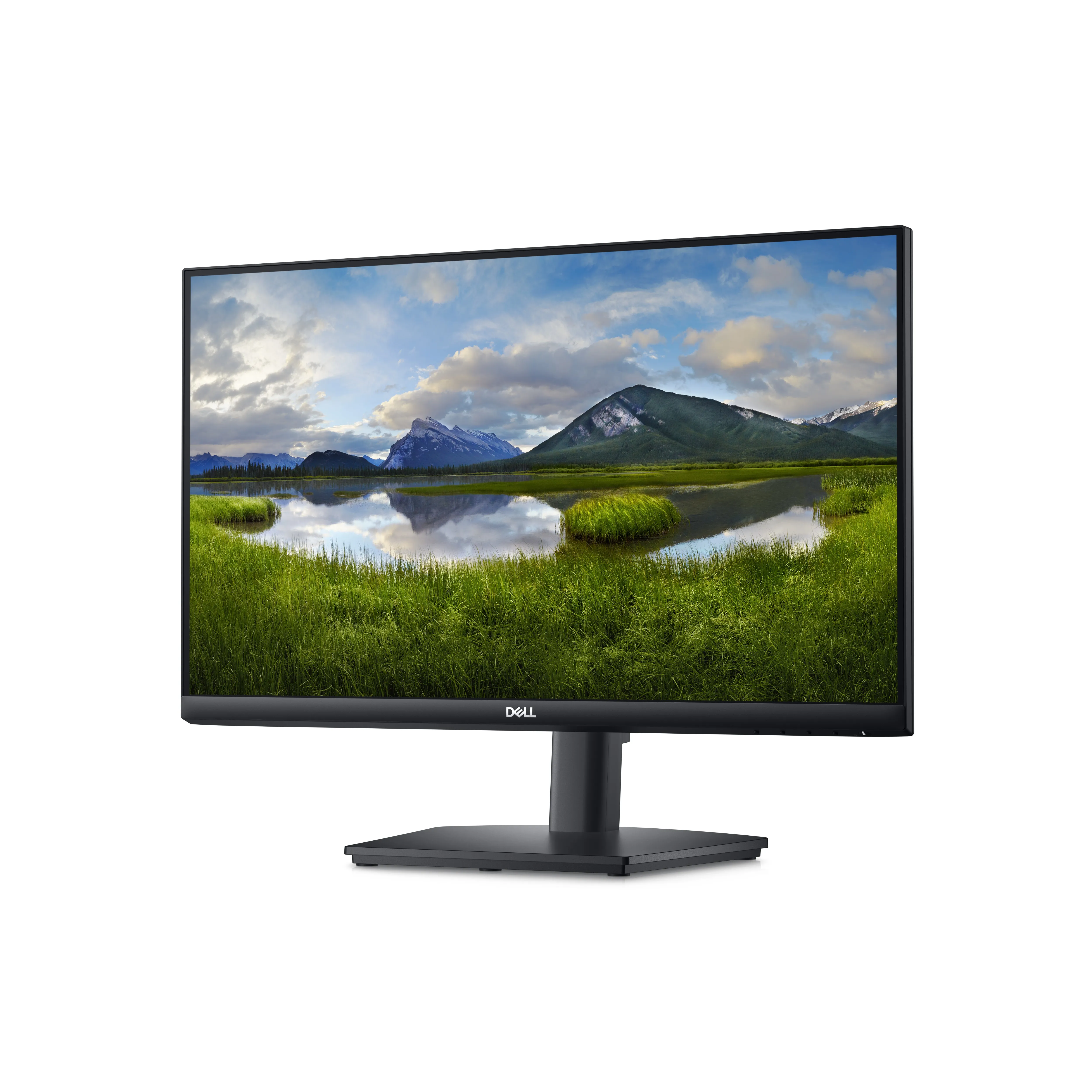 Dell E2424HS 24" Full HD, VA - monitor