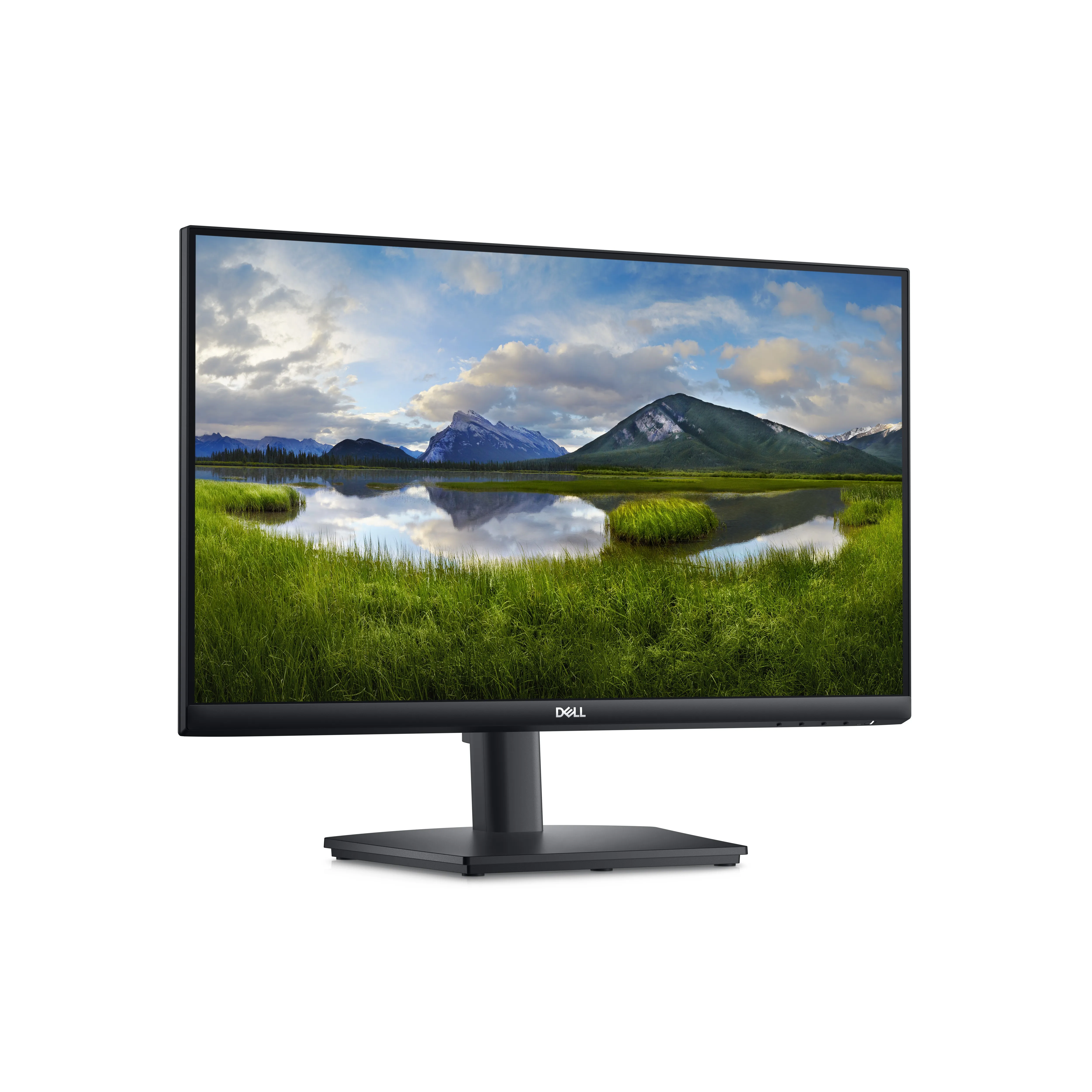 Dell E2424HS 24" Full HD, VA - monitor