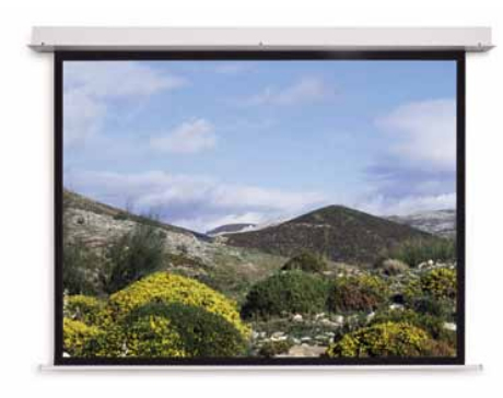 Projecta Descender RF Ele ctrol 180x183 Datalux