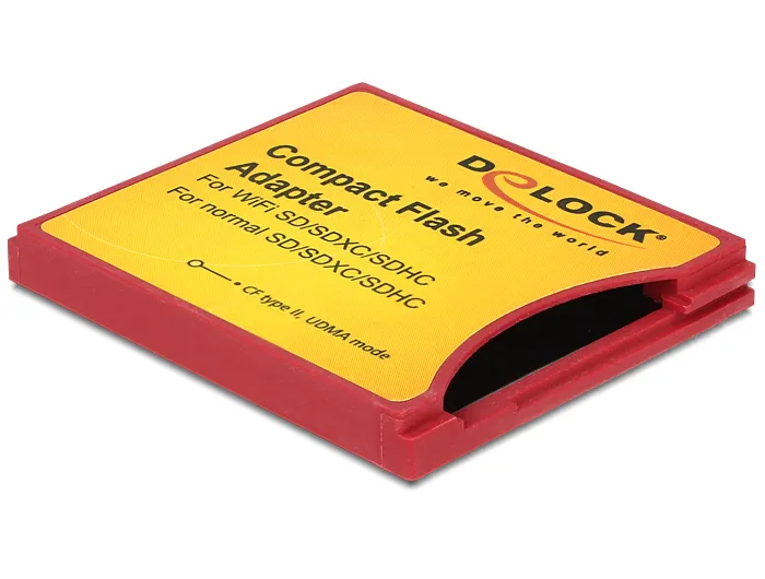 Delock Compact Flash Adapte