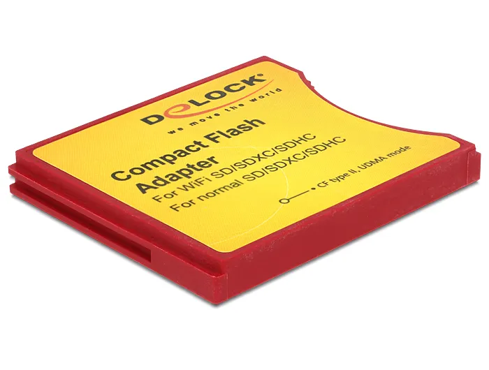 Delock Compact Flash Adapte