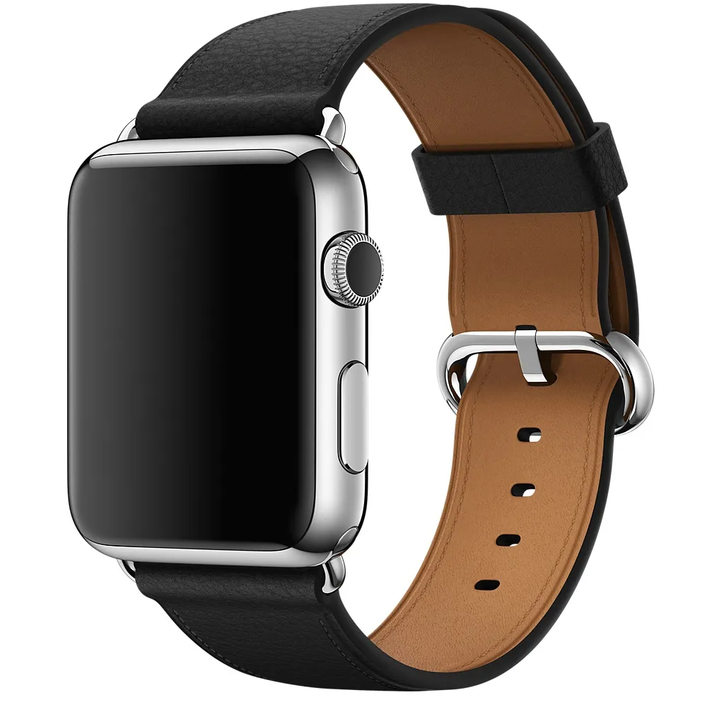 APPLE 42mm Black Classic Buckle