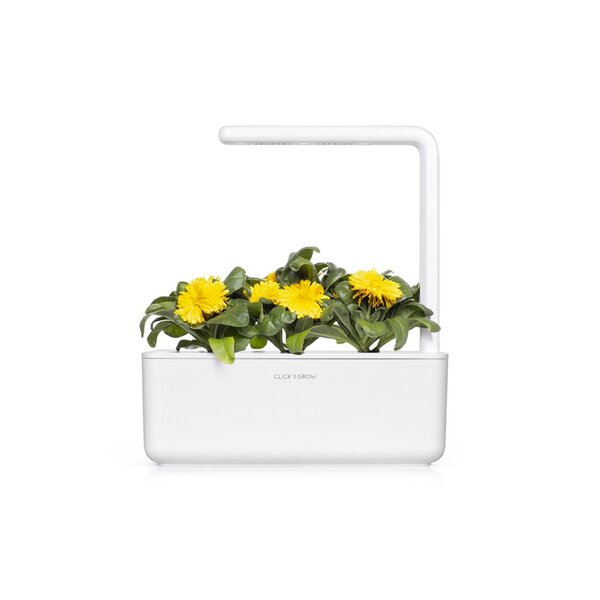 Click and Grow Smart Garden Refill 3-pack - Calendula