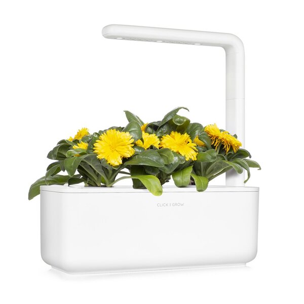 Click and Grow Smart Garden Refill 3-pack - Calendula