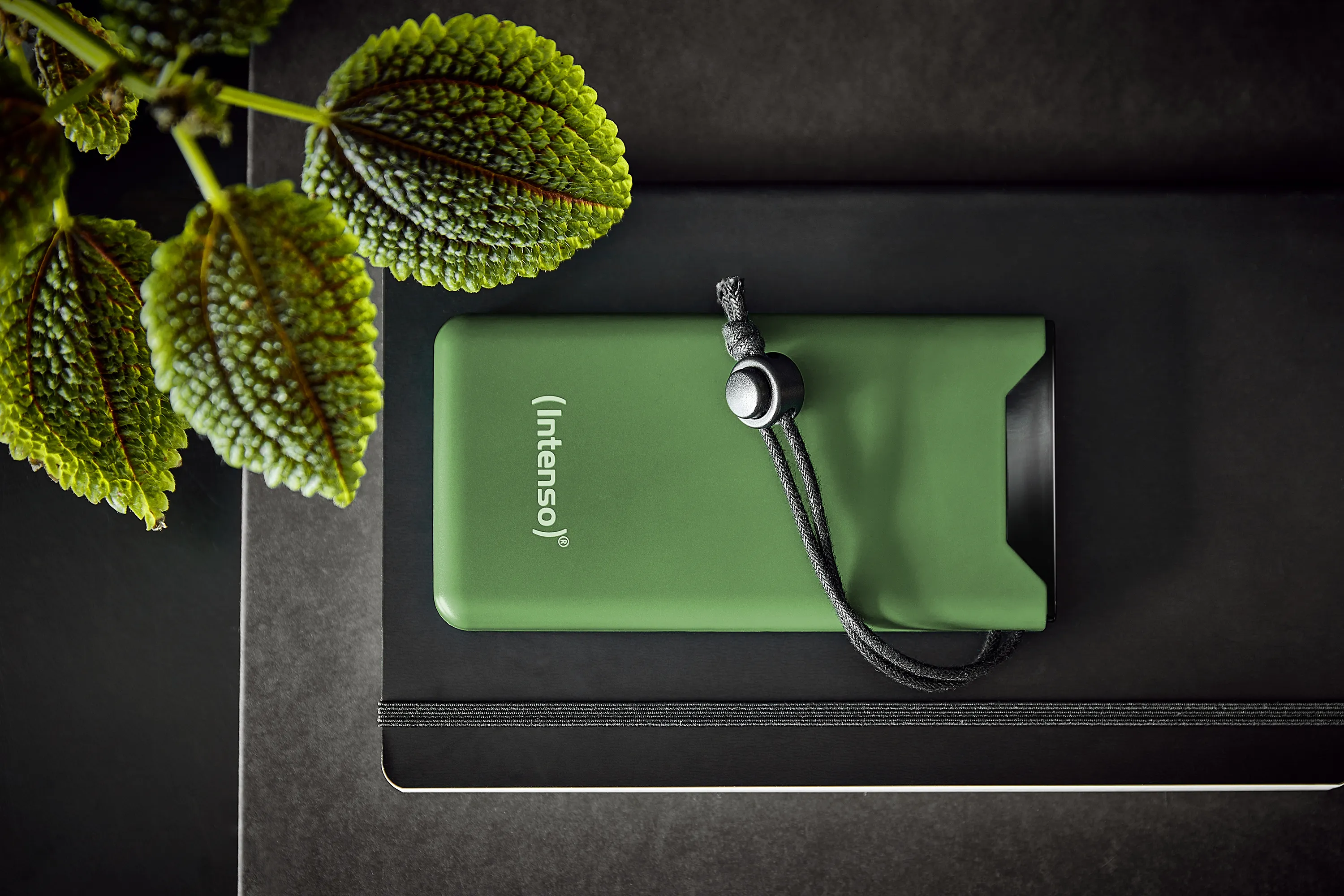 Intenso F10000 -varavirtalähde, 10000 mAh, Vihreä