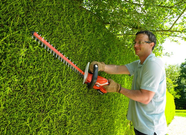 BLACK+DECKER GTC1845L Hedge Trimmer
