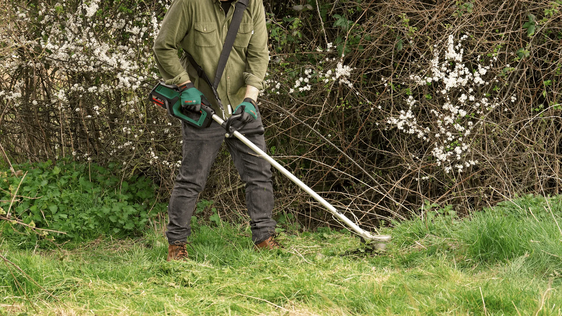 Bosch AdvanceBrushCut 36V-23- 750 -akkutrimmeri (ilman akkua)